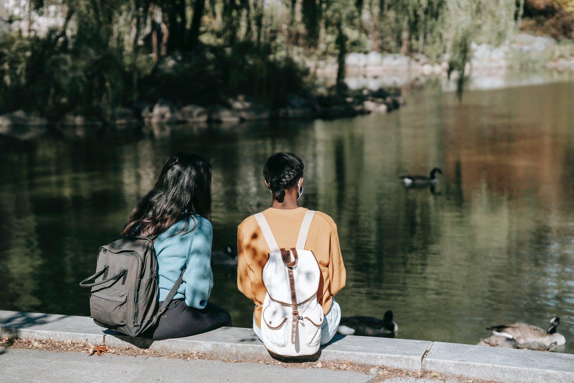 young women having rest near calm lake with ducks